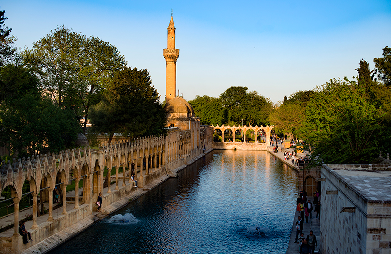 Balıklıgöl Tarhi